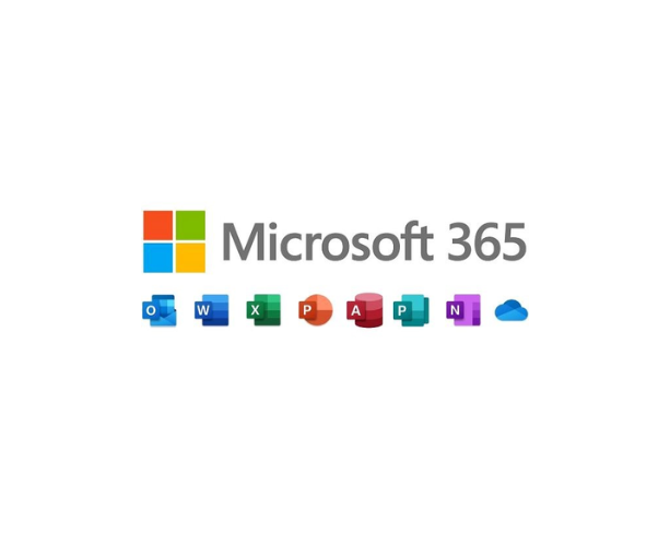 Custom software integrations | Microsoft 365 and more | WorkPoint 365